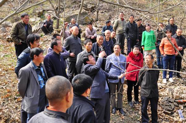 林业技术员入村进行嫁接培训