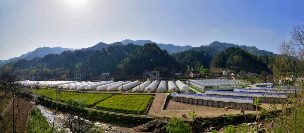 美丽的西川园区