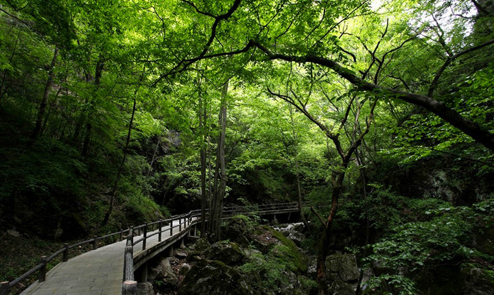 牛背梁国家森林公园