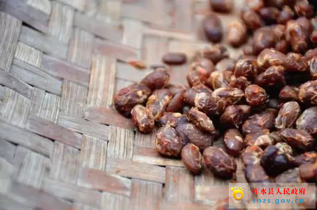 555555555.jpg 555555555.jpg