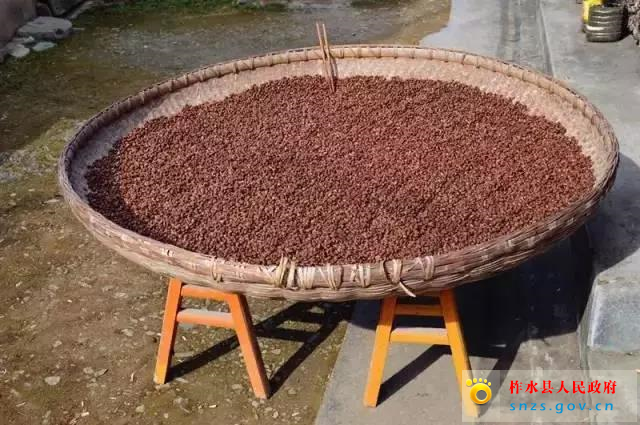 66666666.jpg 66666666.jpg