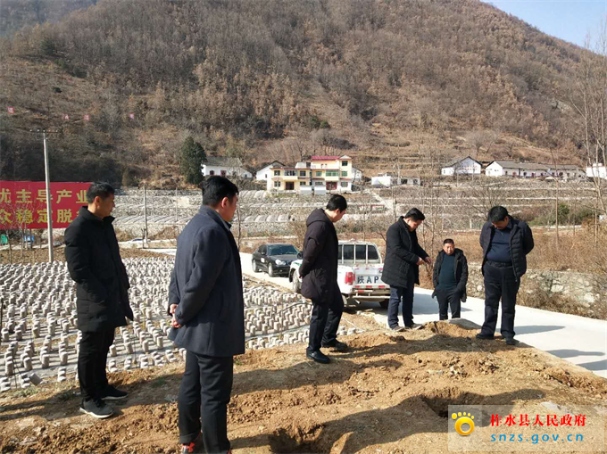 指导.jpg 指导.jpg