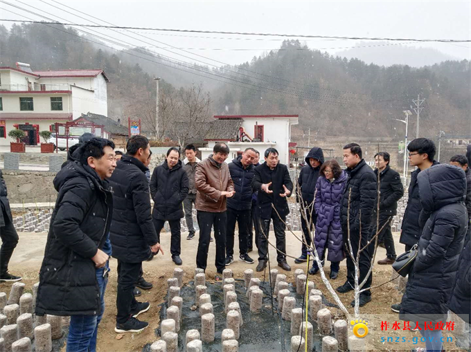 图片2.jpg 图片2.jpg