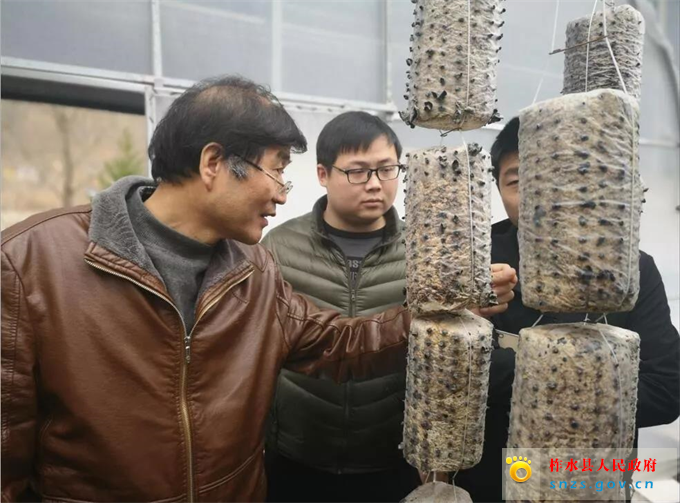 微信图片_20190228155114.jpg 微信图片_20190228155114.jpg