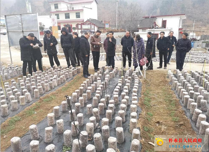 微信图片_20190228155123.jpg 微信图片_20190228155123.jpg