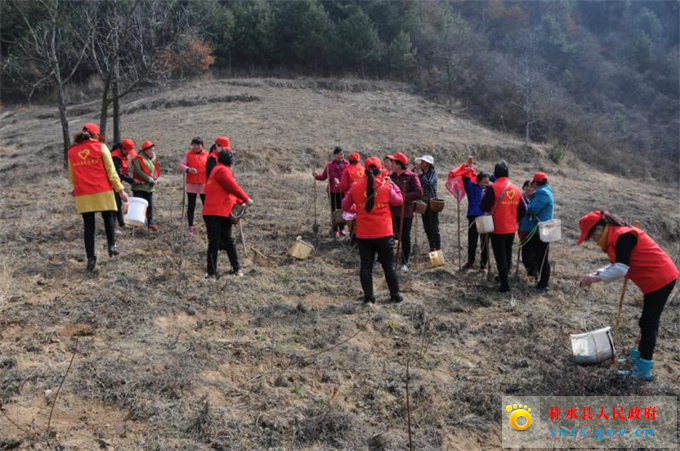 545042684432249729.jpg 545042684432249729.jpg