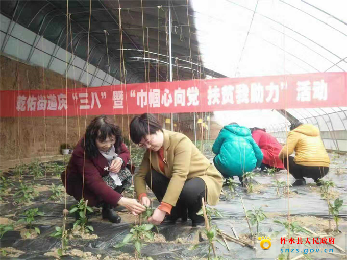 微信图片_20190308133747.jpg 微信图片_20190308133747.jpg