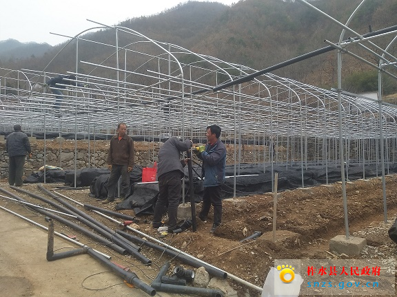 IMG_20190308_104448.jpg IMG_20190308_104448.jpg