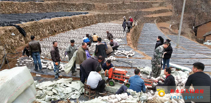 105606167888861552_WPS图片.jpg 105606167888861552_WPS图片.jpg