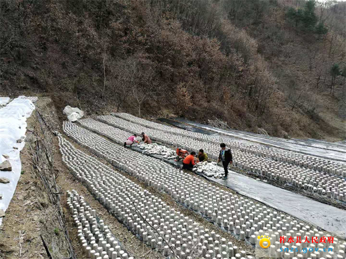 552498098416397775.jpg 552498098416397775.jpg