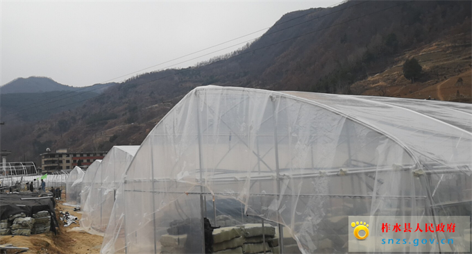 105017749397190697_WPS图片.jpg 105017749397190697_WPS图片.jpg