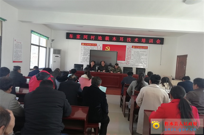 IMG_4179(20190314-171915).jpg IMG_4179(20190314-171915).jpg