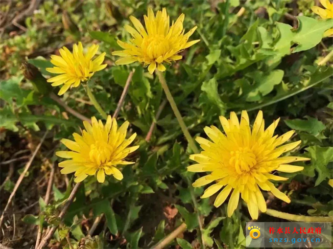 3333333.jpg 3333333.jpg