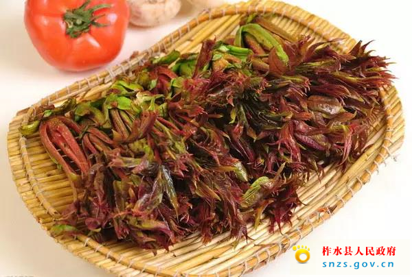 66666666666666.jpg 66666666666666.jpg