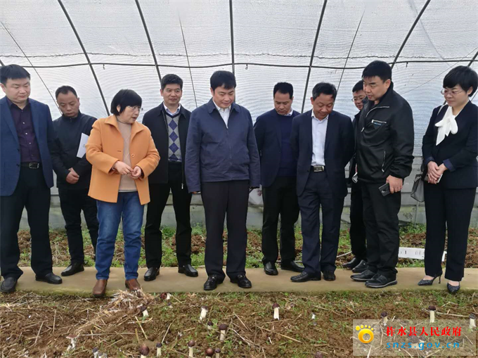 微信图片_20190327152806.jpg 微信图片_20190327152806.jpg