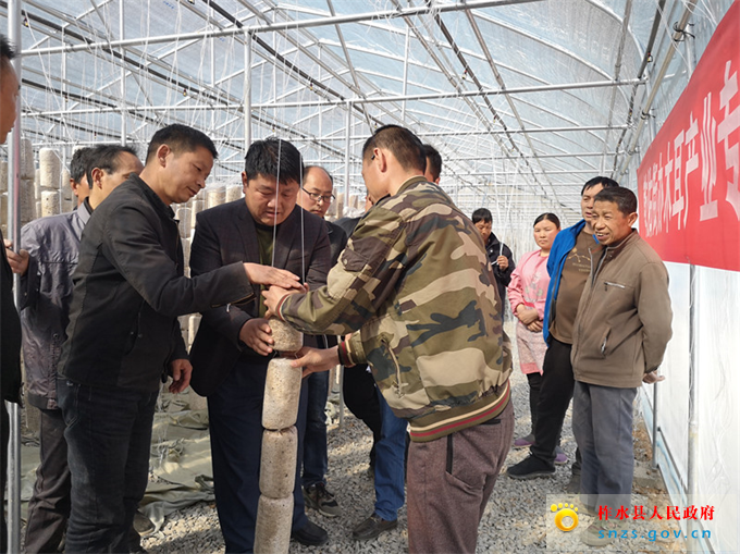 786438303393641108.jpg 786438303393641108.jpg