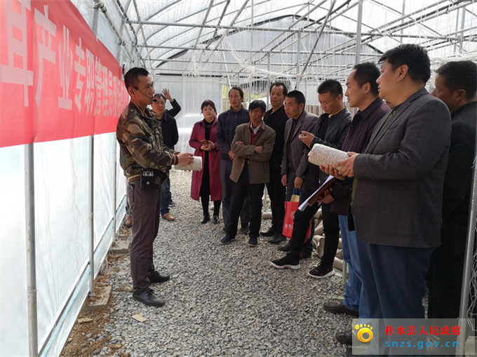 347095677867306009.jpg 347095677867306009.jpg