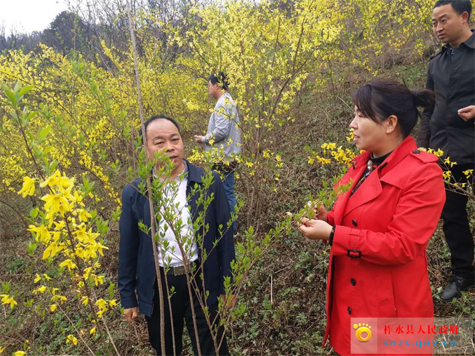 Cache_3e6e754ee7265075..jpg Cache_3e6e754ee7265075..jpg