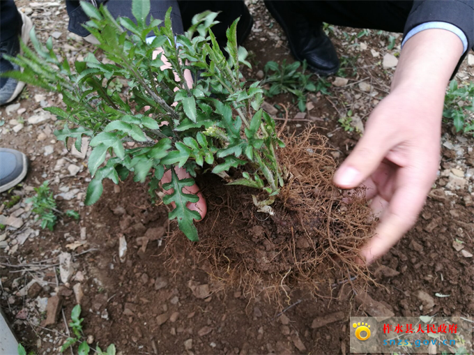 Cache_-2fbb0d4a435351eb..jpg Cache_-2fbb0d4a435351eb..jpg