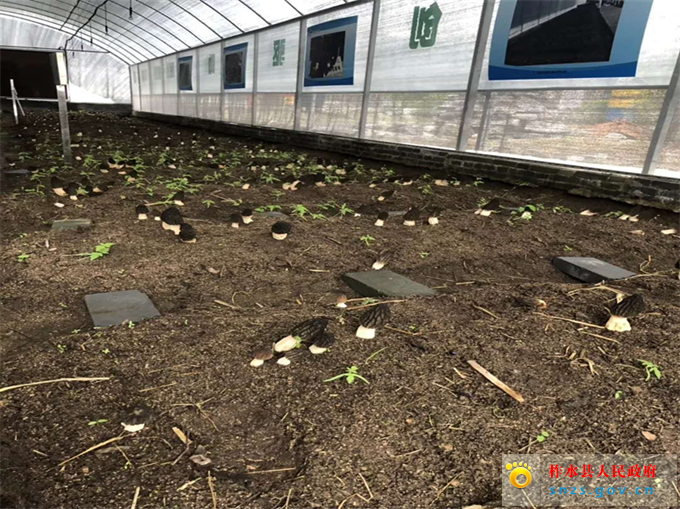 4c6832928973672b3b5af17730327ff_副本.jpg 4c6832928973672b3b5af17730327ff_副本.jpg