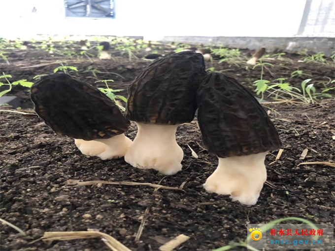 8a470ad194eb1b4a8bb2432779c2dc0_副本.jpg 8a470ad194eb1b4a8bb2432779c2dc0_副本.jpg