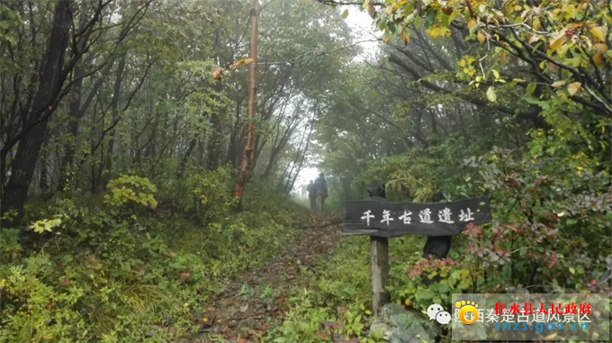 111111111111.jpg 111111111111.jpg