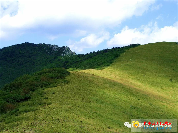 222222222.jpg 222222222.jpg