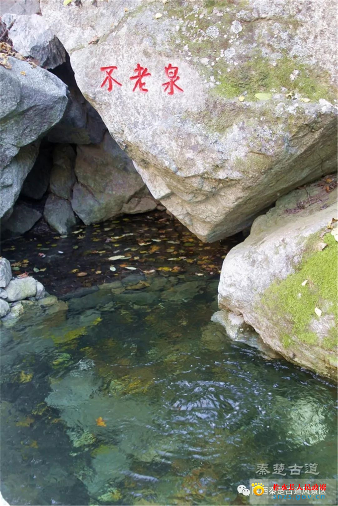 33333333333912.jpg 33333333333912.jpg