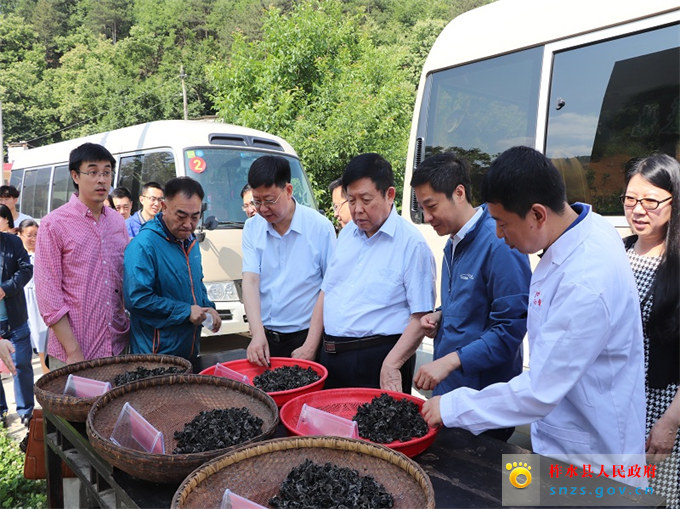 IMG_4977.jpg IMG_4977.jpg