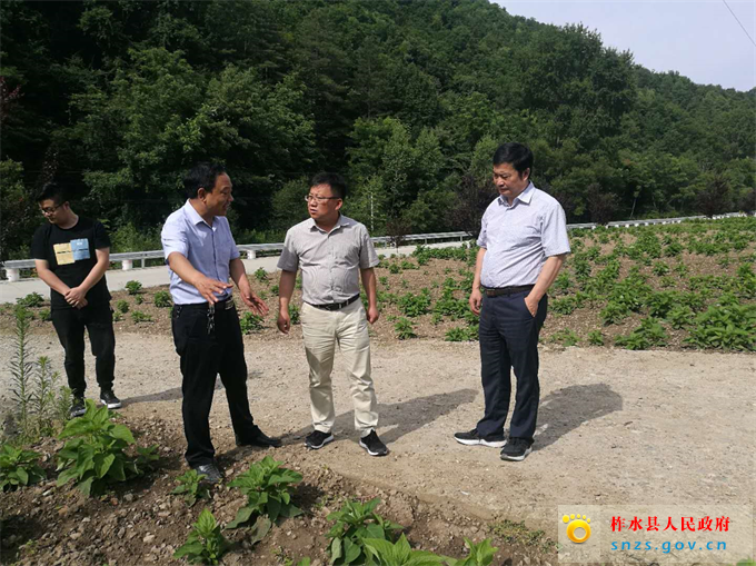 8c56259da74bbbf88ab3ba87635129e.jpg 8c56259da74bbbf88ab3ba87635129e.jpg