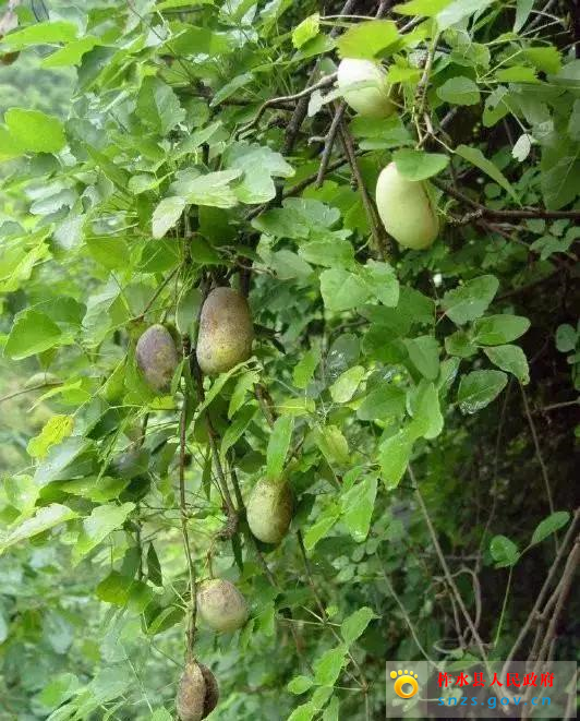 微信图片_20190822161832.jpg 微信图片_20190822161832.jpg