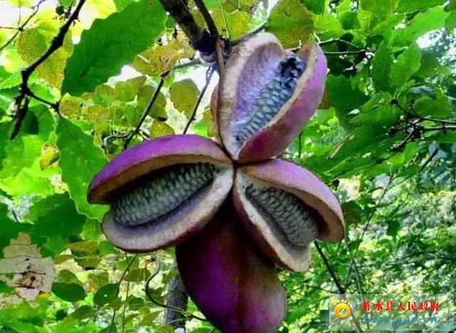 微信图片_20190822161840.jpg 微信图片_20190822161840.jpg