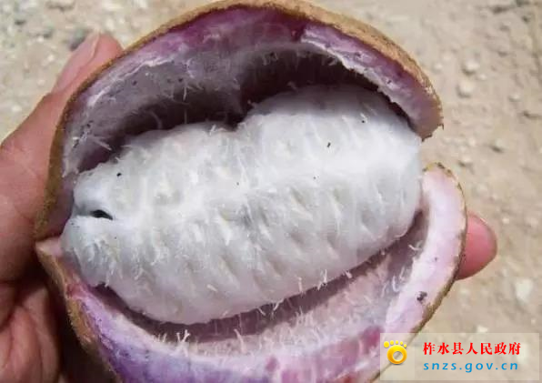 微信图片_20190822161918.jpg 微信图片_20190822161918.jpg