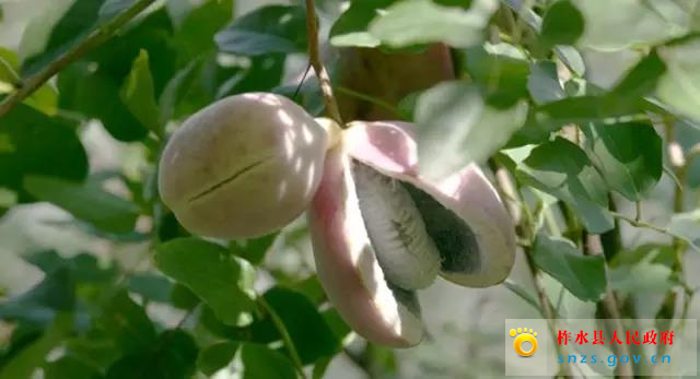 微信图片_20190822161856.jpg 微信图片_20190822161856.jpg