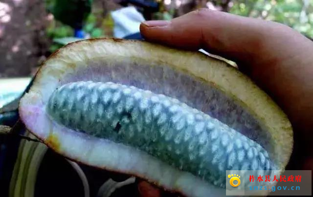 微信图片_20190822161904.jpg 微信图片_20190822161904.jpg