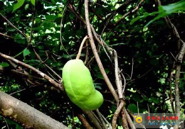 微信图片_20190822161850.jpg 微信图片_20190822161850.jpg