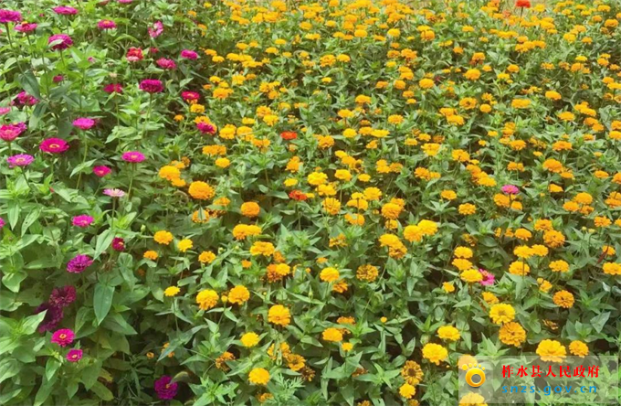 微信图片_20190822173340.jpg 微信图片_20190822173340.jpg