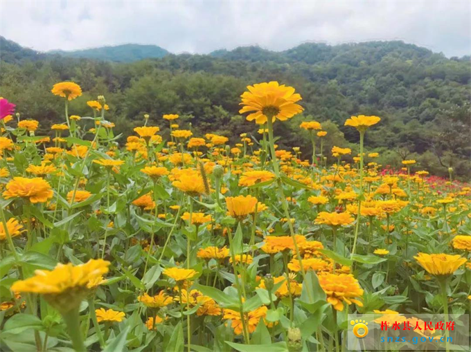 微信图片_20190822173347.jpg 微信图片_20190822173347.jpg