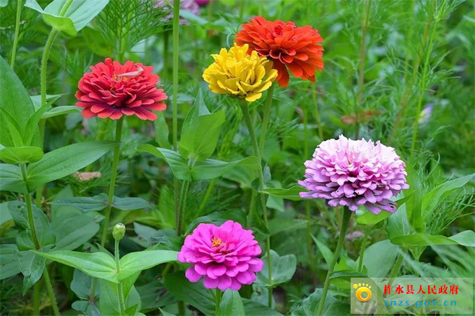 微信图片_20190822173433.jpg 微信图片_20190822173433.jpg