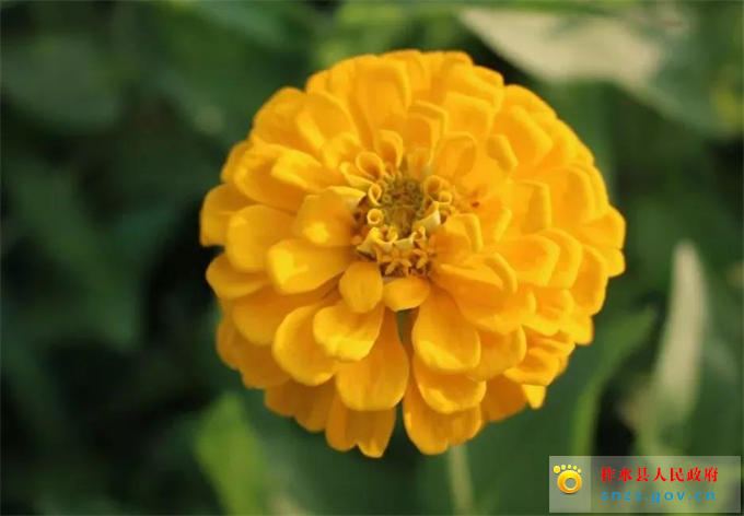 微信图片_20190822173414.jpg 微信图片_20190822173414.jpg