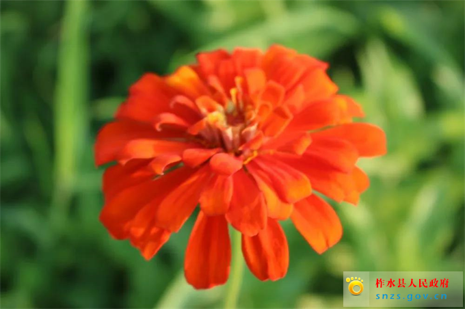 微信图片_20190822173420.jpg 微信图片_20190822173420.jpg