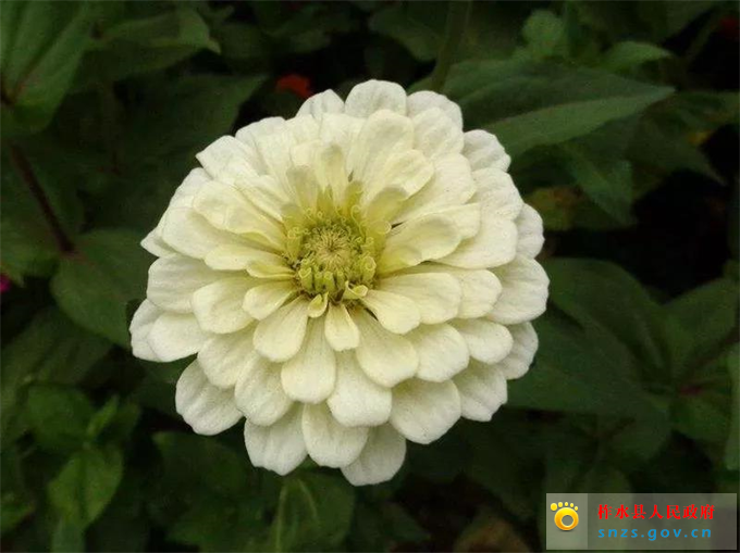 微信图片_20190822173426.jpg 微信图片_20190822173426.jpg