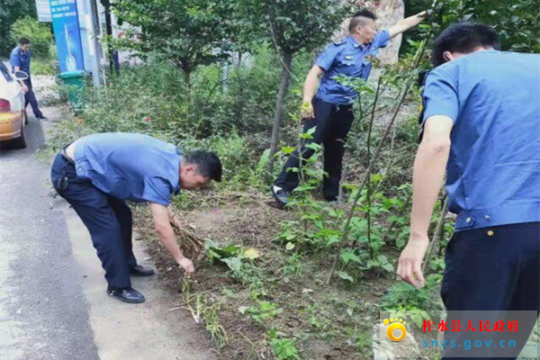 柞水段扎实推进路域环境综合整治(图) (2).jpg 柞水段扎实推进路域环境综合整治(图) (2).jpg