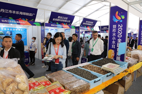 全国食用菌产业发展暨柞水“小木耳 大产业”招商大会开幕