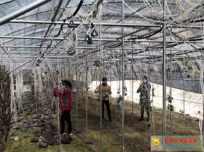 微信图片_20200211142550.jpg 微信图片_20200211142550.jpg