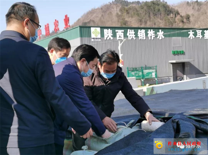 111111111111.jpg 111111111111.jpg