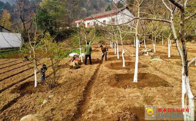 2278a8deccbb952b8b7e933aac4600f.jpg 2278a8deccbb952b8b7e933aac4600f.jpg