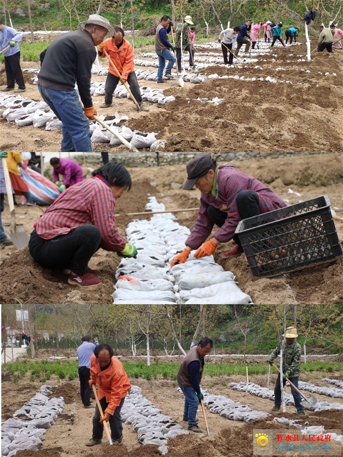 微信图片_20200415165932.jpg 微信图片_20200415165932.jpg