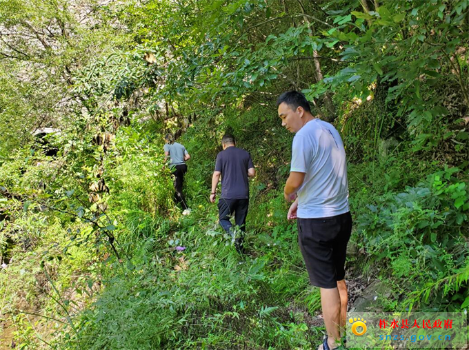 图片11.jpg 图片11.jpg