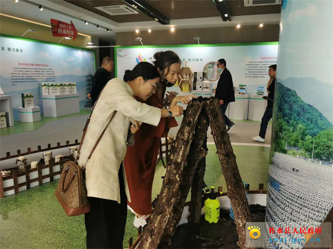 图片77.jpg 图片77.jpg